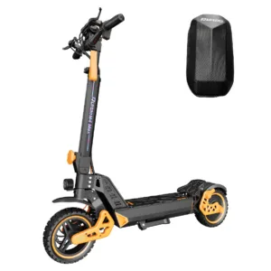 RUITOO Trottinette électrique M4 Max pliable moteur 1000W 48V batterie 15,6Ah autonomie 55km
