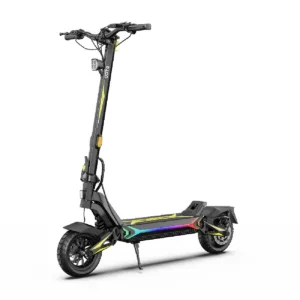 Scooter électrique pliable OOTD SR1, moteur 1400W, batterie 48V 20AH, frein à disque