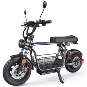 Trottinette Électrique iScooter DX5 1500W Batterie 48V 15,6Ah 55 km/h Autonomie 72 km
